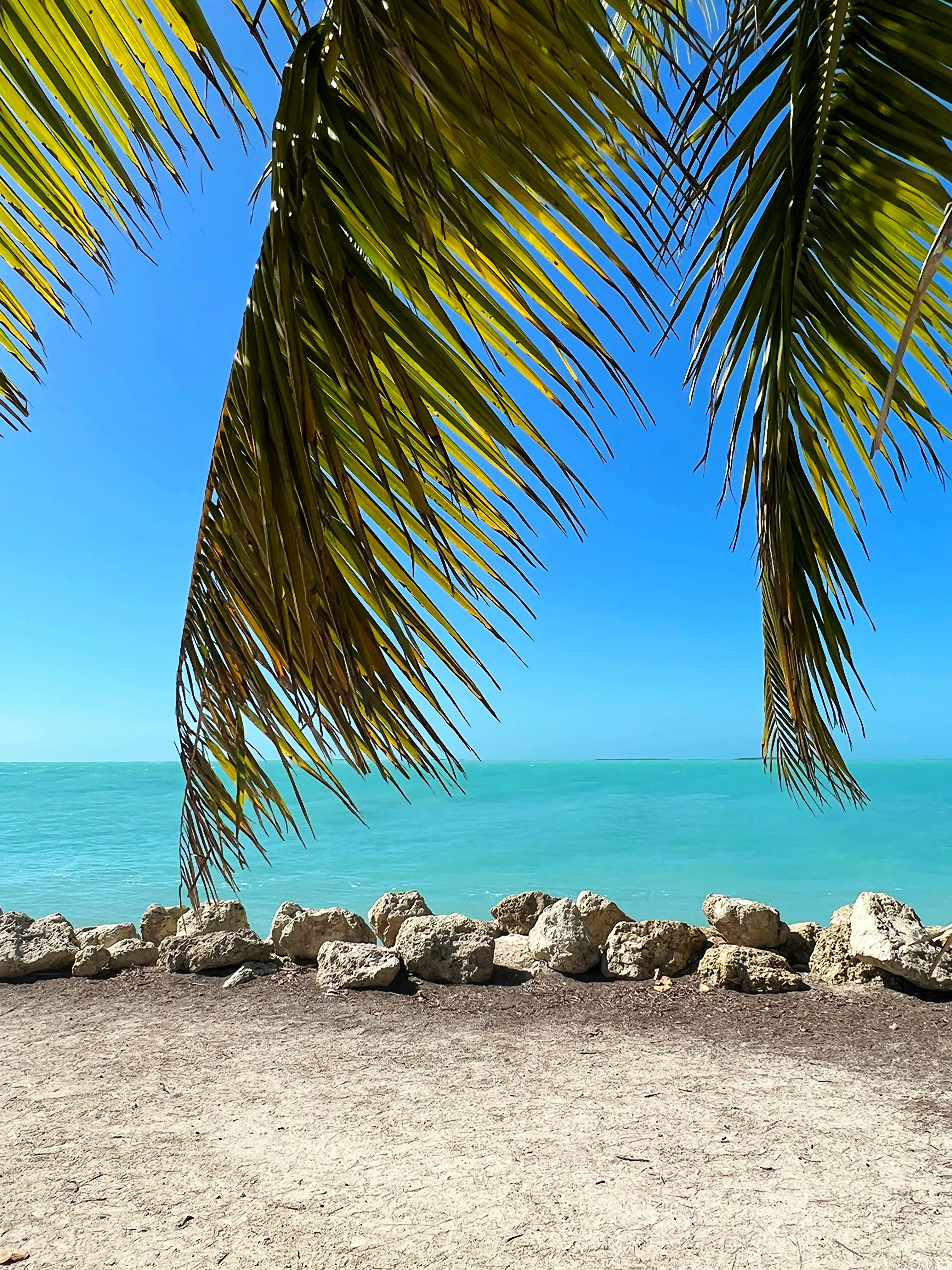Florida Gulf Coast beach with turquoise water and palm trees